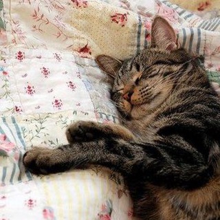 Логотип телеграм канала @kittigomay — .｡.:*･゜kitty go.｡.:*･゜ﾟ･･* ♡