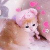 Логотип телеграм канала @kitty_lashroom — kitty lashroom🦋
