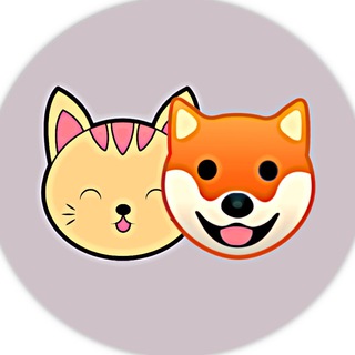 Logo of telegram channel kittyshibanews — KittyShiba ANN [ EN ]