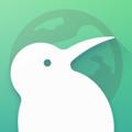 Logo saluran telegram kiwibrowserbuilds — Kiwi Browser Builds