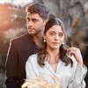 لوگوی کانال تلگرام kizilcikserbeti_series — شربت زغال اخته | KizilcikSerbeti