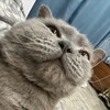 Логотип телеграм канала @kksurx0 — Кибербуллинг Маши