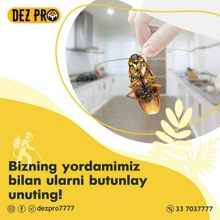 Telegram kanalining logotibi klapa_tarakan_dezin — Dezinfeksiya🦂