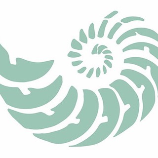 Logo des Telegrammkanals klarworte - KLAR-WORTE - Tagesimpuls