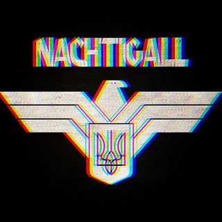 Логотип телеграм -каналу kleines_reich — Nachtigall ✙