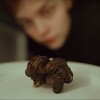 Логотип телеграм канала @klementiiiina — кстати, клементина 🍄