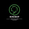 Логотип телеграм канала @kleverflowersalon — 🍀 КЛЕВЕР | салон цветов | Баймак