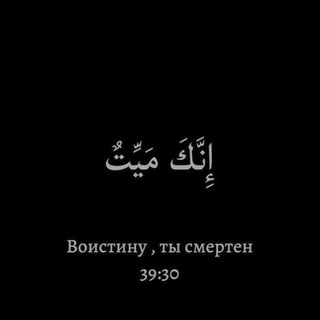 Логотип телеграм канала @klklklkl_177 — r.