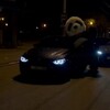 Telegram channel Плюшевый рай 🐸🐵🐼 logo