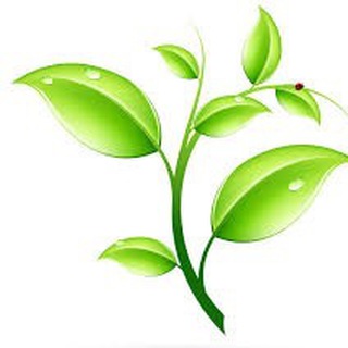 Логотип телеграм канала @klub_zdorov — Клуб здоровья и долголетия