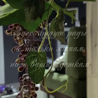 Логотип телеграм канала @klubkrasivihmam — Клуб Красивых Мам