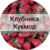 Логотип телеграм канала @klubnika_kukmor — Клубника Кукмор