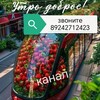 Логотип телеграм канала @klubnikavchite — рыба , клубника в Чите!