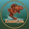 Логотип телеграм канала @klyutlive — КлюётLive