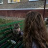 Логотип телеграм канала @kmerexxqe — сегодня хорошо