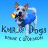 Логотип телеграм канала @kmrdogs — KMR@Dogs🐶