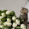 Логотип телеграм канала @kmrloveee — на кмр любят