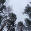 Логотип телеграм канала @knigi_c_diank — Книжная жизнь📚🤍