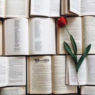 Telegram channel Книжульки✨🦋 logo