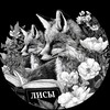 Логотип телеграм канала @knigislis — Издательство "ЛИ́СЫ"🦊