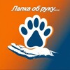 Логотип телеграм канала @knopa1berta — АНО "КНОПА" 🐶🐶🐶