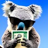 Логотип телеграм -каналу koalatemshchik — Koala Тємщик