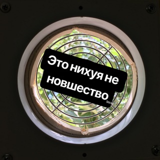 Логотип телеграм канала @kobelkovlive — Кобельков LIVE