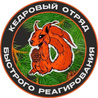Логотип телеграм канала @kobry74 — КОБРы🐿