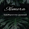 Логотип телеграм канала @kochetkovaplants — 𝕏𝕚𝕞𝕖𝕣𝕒 【ДЖунгли дома】
