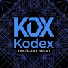 Telegram channel KODEX | کُدکس logo