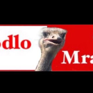 Логотип телеграм канала @kodlomrazy — КодломраZи