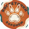 Логотип телеграм канала @kogtetochki_vrn — Когтеточки Воронеж
