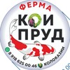 Логотип телеграм канала @koi_prud — Кои Пруд Колоказия