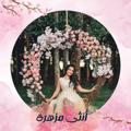 Logo saluran telegram kokimeb — 👑أنثى مزهرة👑
