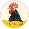 Логотип телеграм -каналу kokoinfoua — KokoInfoUa