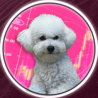 Логотип телеграм канала @koksik_mem_ton — 🐶 КОКСИК TON (CHANNEL)