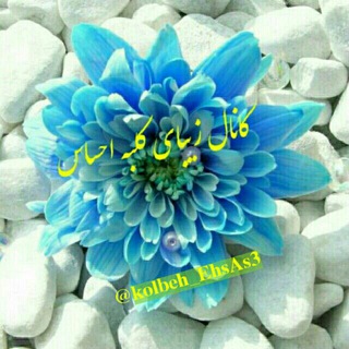 لوگوی کانال تلگرام kolbeh_ehsas3 — کلبه احساس
