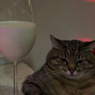 Логотип телеграм канала @kolibrionlyban — KOLIBRI(НЕ)ТДМ МАКАКА