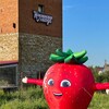 Логотип телеграм канала @kolomna_berry — Коломенская Ягода