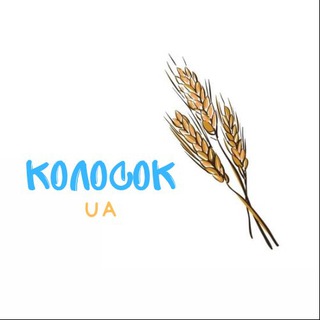 Логотип телеграм -каналу kolosok_ua — Колосок UA🌾