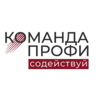 Логотип телеграм канала @komandaprofi_rsm — Команда ПРОФИ | СоДействуй