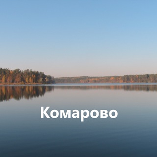 Логотип телеграм канала @komarovospb — Комарово