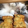Логотип телеграм канала @komaru1l1 — ТОЛЬКО РОЖИГРЫШИ ("⁧;("