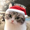 Logo of telegram channel komaru_world — Komaru World