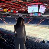 Логотип телеграм канала @komarusk — жетон