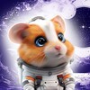 Telegram арнасының логотипі kombo_hamsta — 🐹 HKC | Hamster Kombat Combo