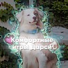 Логотип телеграм канала @komfort_go — 💗Комфортные игры🐶