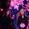 Логотип телеграм канала @komg59 — Ханаби, черная Лиса.🌺