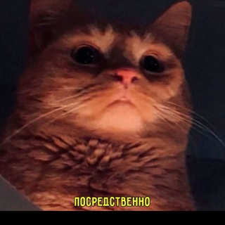 Логотип телеграм канала @komily677 — KomiLy