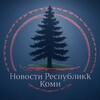 Логотип телеграм канала @komizyryannews — Северный Пульс Коми | Зырянский Вестник